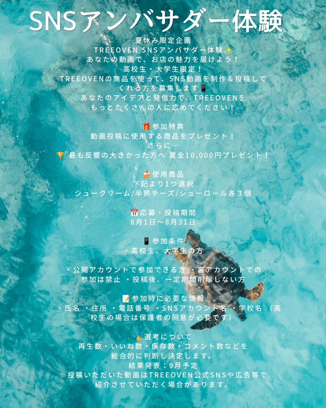 夏休み限定企画!SNSアンバサダー体験の写真(神奈川県厚木市)